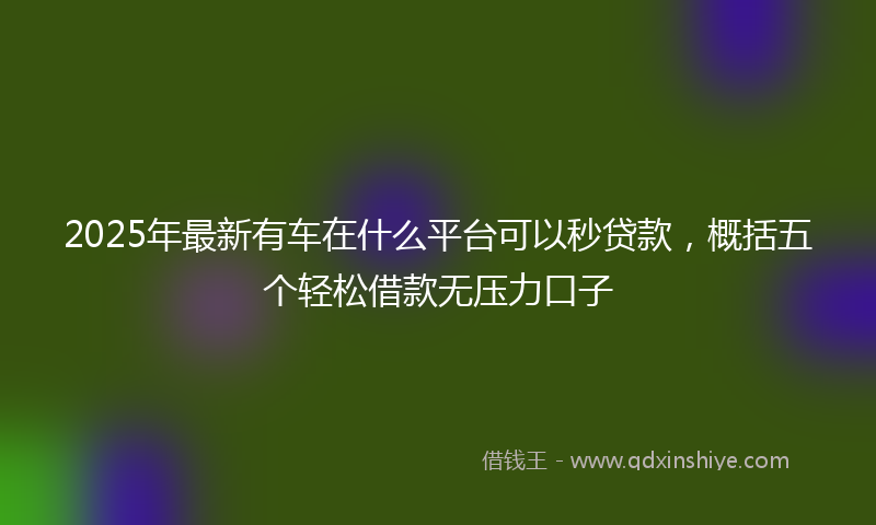 2025年最新有车在什么平台可以秒贷款，概括五个轻松借款无压力口子