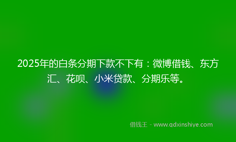 2025年的白条分期下款不下有：微博借钱、东方汇、花呗、小米贷款、分期乐等。
