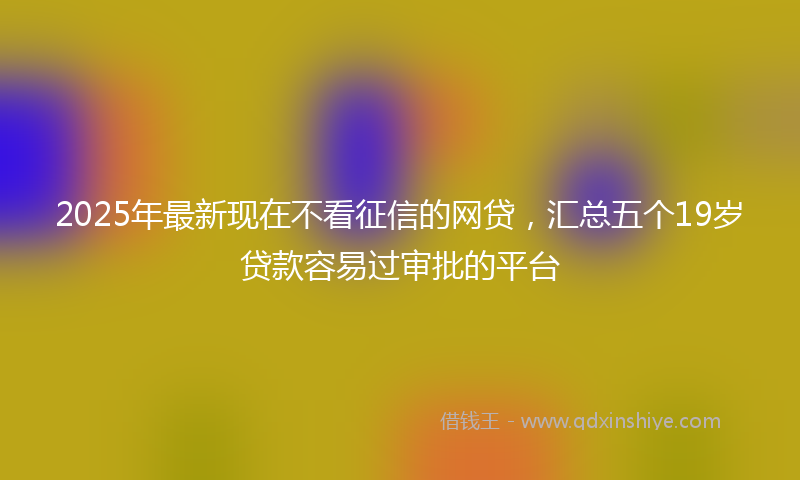 2025年最新现在不看征信的网贷，汇总五个19岁贷款容易过审批的平台