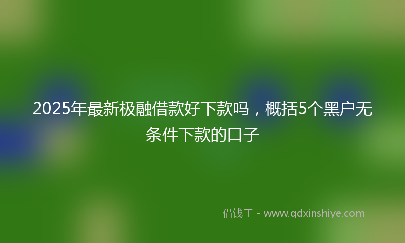 2025年最新极融借款好下款吗，概括5个黑户无条件下款的口子