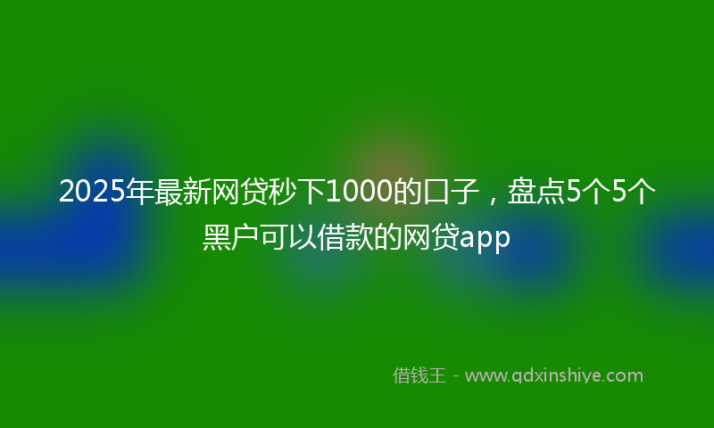 2025年最新网贷秒下1000的口子，盘点5个5个黑户可以借款的网贷app