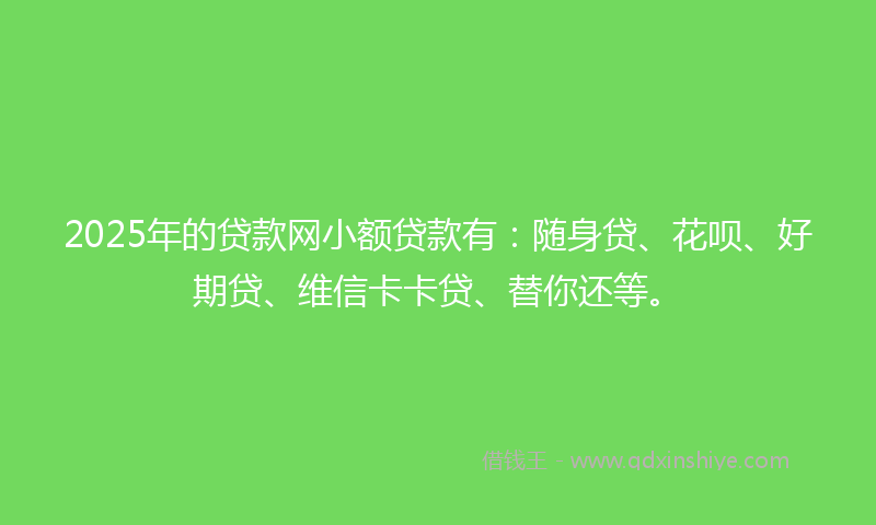 2025年的贷款网小额贷款有：随身贷、花呗、好期贷、维信卡卡贷、替你还等。