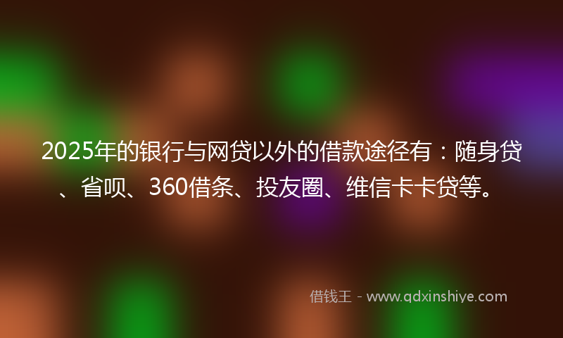 2025年的银行与网贷以外的借款途径有：随身贷、省呗、360借条、投友圈、维信卡卡贷等。