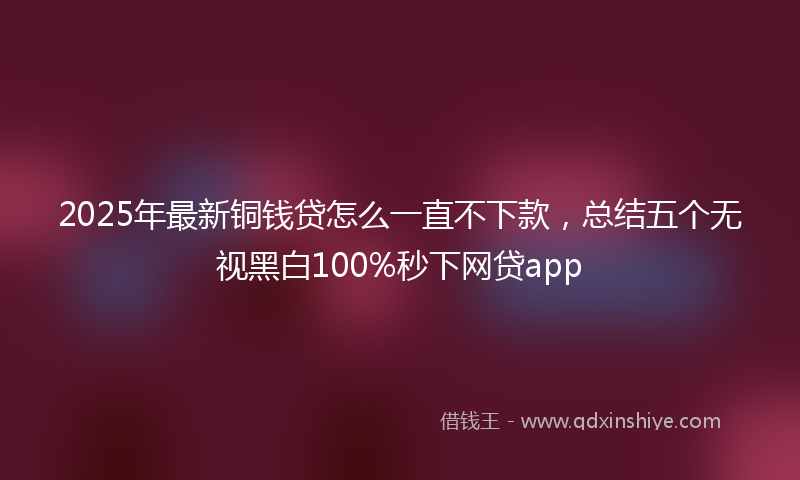2025年最新铜钱贷怎么一直不下款，总结五个无视黑白100%秒下网贷app