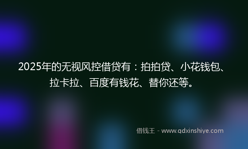 2025年的无视风控借贷有：拍拍贷、小花钱包、拉卡拉、百度有钱花、替你还等。
