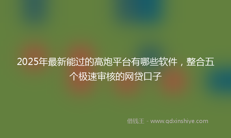2025年最新能过的高炮平台有哪些软件，整合五个极速审核的网贷口子