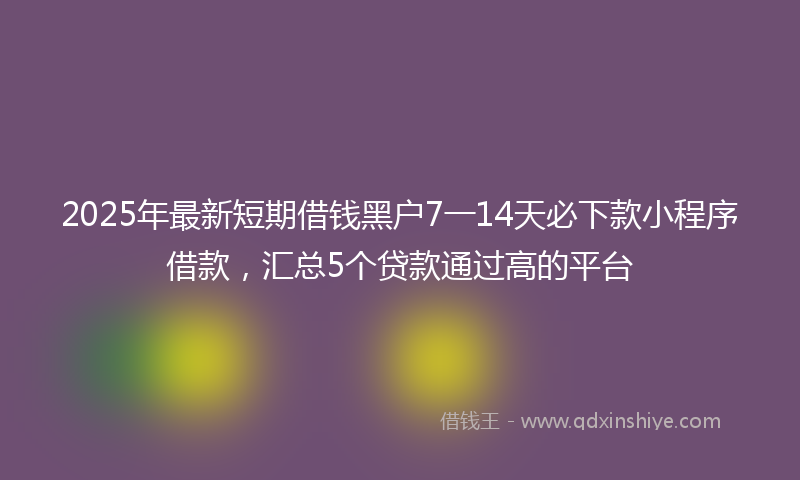 2025年最新短期借钱黑户7一14天必下款小程序借款，汇总5个贷款通过高的平台