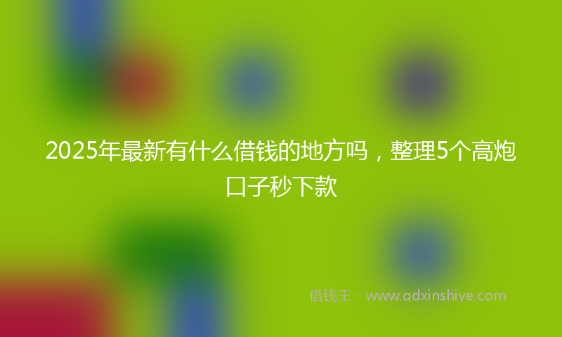 2025年最新有什么借钱的地方吗，整理5个高炮口子秒下款