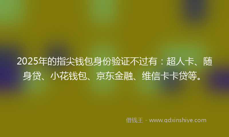 2025年的指尖钱包身份验证不过有：超人卡、随身贷、小花钱包、京东金融、维信卡卡贷等。