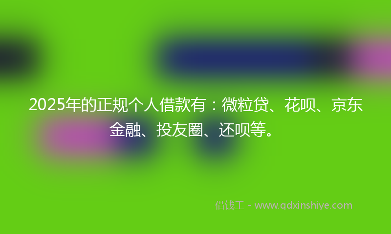 2025年的正规个人借款有：微粒贷、花呗、京东金融、投友圈、还呗等。