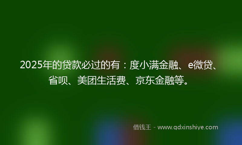 2025年的贷款必过的有：度小满金融、e微贷、省呗、美团生活费、京东金融等。
