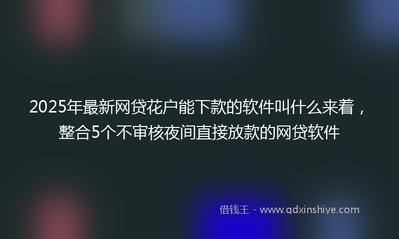 2025年最新网贷花户能下款的软件叫什么来着，整合5个不审核夜间直接放款的网贷软件