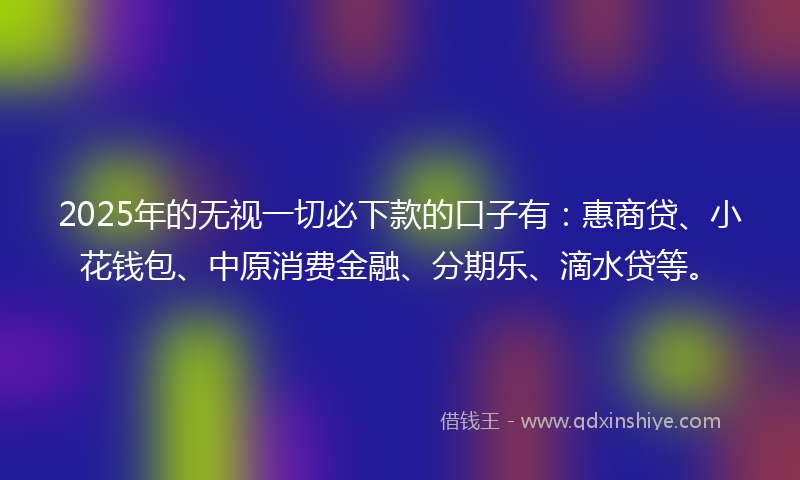 2025年的无视一切必下款的口子有：惠商贷、小花钱包、中原消费金融、分期乐、滴水贷等。