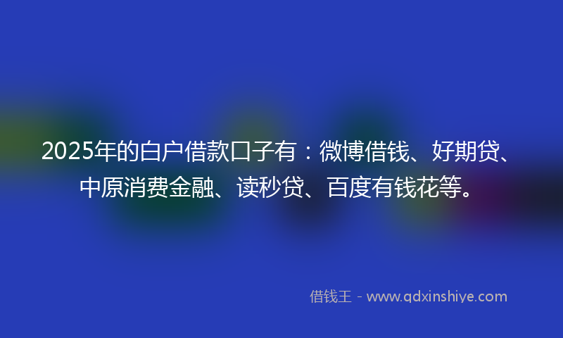 2025年的白户借款口子有：微博借钱、好期贷、中原消费金融、读秒贷、百度有钱花等。