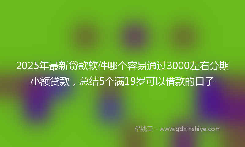 2025年最新贷款软件哪个容易通过3000左右分期小额贷款，总结5个满19岁可以借款的口子