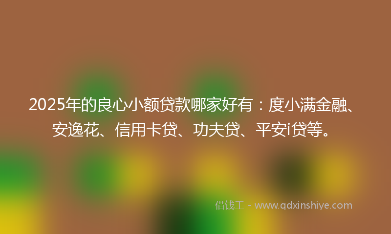 2025年的良心小额贷款哪家好有：度小满金融、安逸花、信用卡贷、功夫贷、平安i贷等。