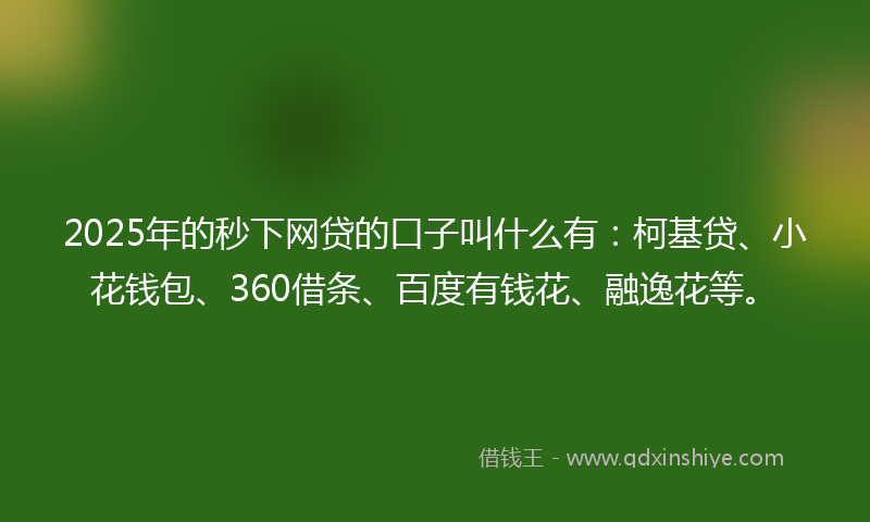 2025年的秒下网贷的口子叫什么有：柯基贷、小花钱包、360借条、百度有钱花、融逸花等。