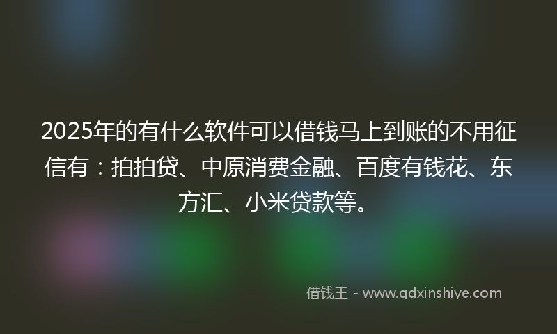 2025年的有什么软件可以借钱马上到账的不用征信有：拍拍贷、中原消费金融、百度有钱花、东方汇、小米贷款等。