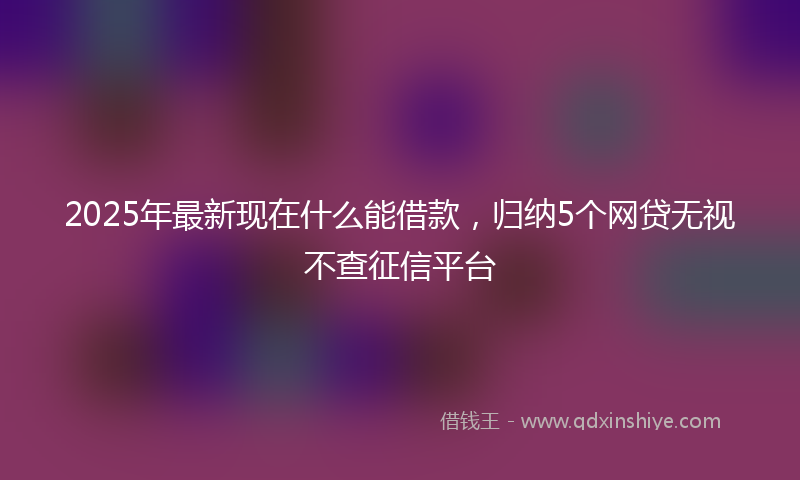 2025年最新现在什么能借款，归纳5个网贷无视不查征信平台