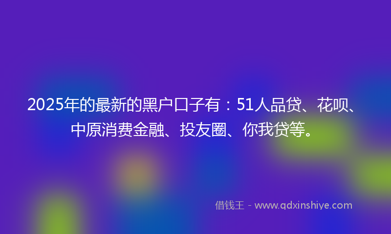 2025年的最新的黑户口子有：51人品贷、花呗、中原消费金融、投友圈、你我贷等。
