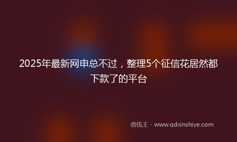 2025年最新网申总不过，整理5个征信花居然都下款了的平台