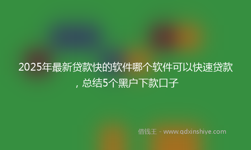 2025年最新贷款快的软件哪个软件可以快速贷款，总结5个黑户下款口子