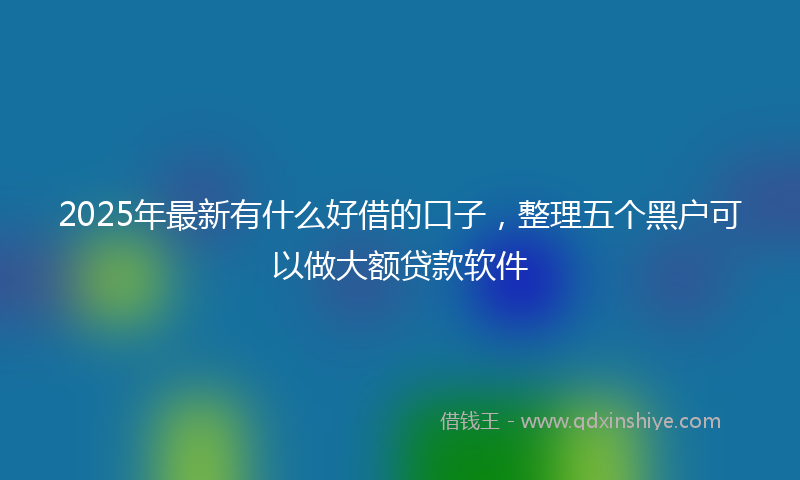2025年最新有什么好借的口子，整理五个黑户可以做大额贷款软件
