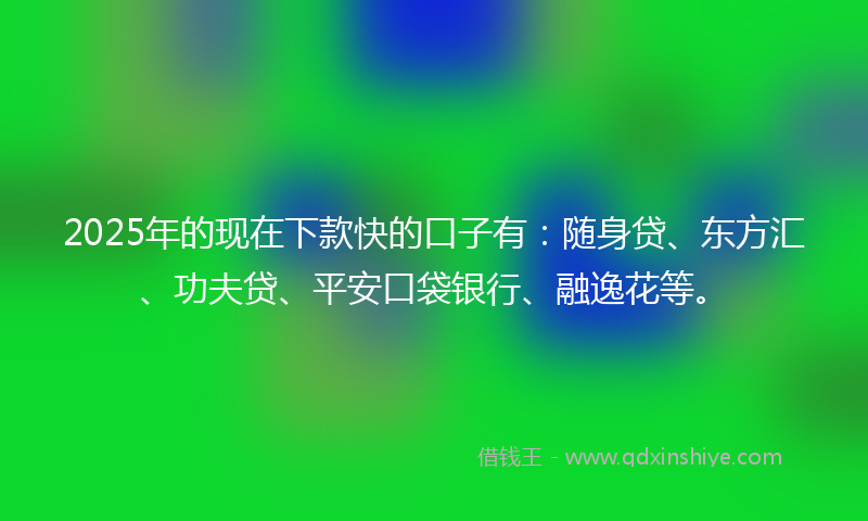2025年的现在下款快的口子有：随身贷、东方汇、功夫贷、平安口袋银行、融逸花等。