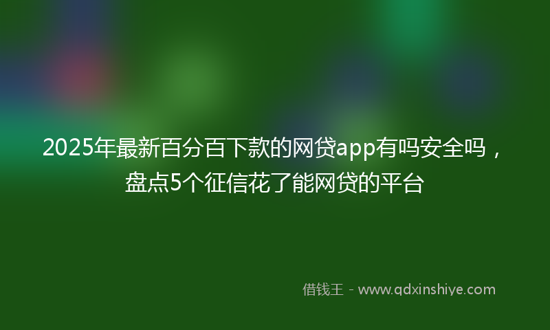 2025年最新百分百下款的网贷app有吗安全吗，盘点5个征信花了能网贷的平台
