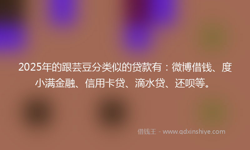 2025年的跟芸豆分类似的贷款有：微博借钱、度小满金融、信用卡贷、滴水贷、还呗等。