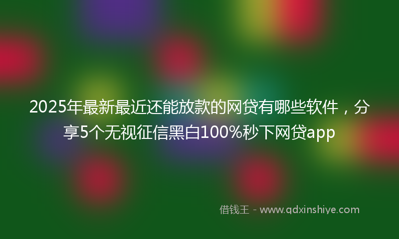 2025年最新最近还能放款的网贷有哪些软件，分享5个无视征信黑白100%秒下网贷app