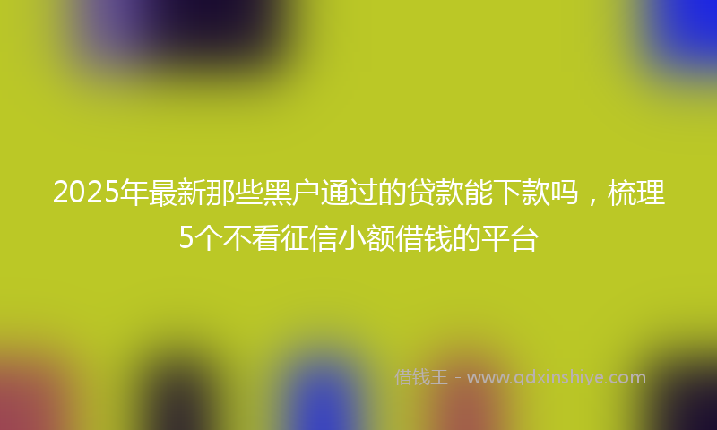 2025年最新那些黑户通过的贷款能下款吗，梳理5个不看征信小额借钱的平台