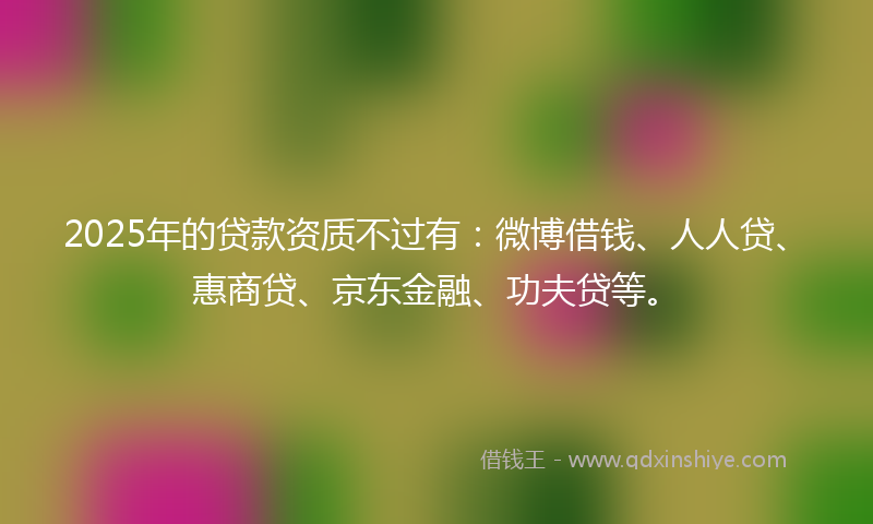 2025年的贷款资质不过有：微博借钱、人人贷、惠商贷、京东金融、功夫贷等。