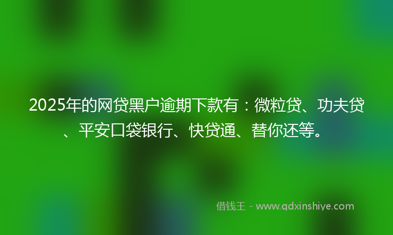 2025年的网贷黑户逾期下款有：微粒贷、功夫贷、平安口袋银行、快贷通、替你还等。