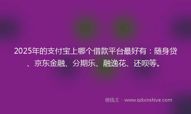 2025年的支付宝上哪个借款平台最好有：随身贷、京东金融、分期乐、融逸花、还呗等。