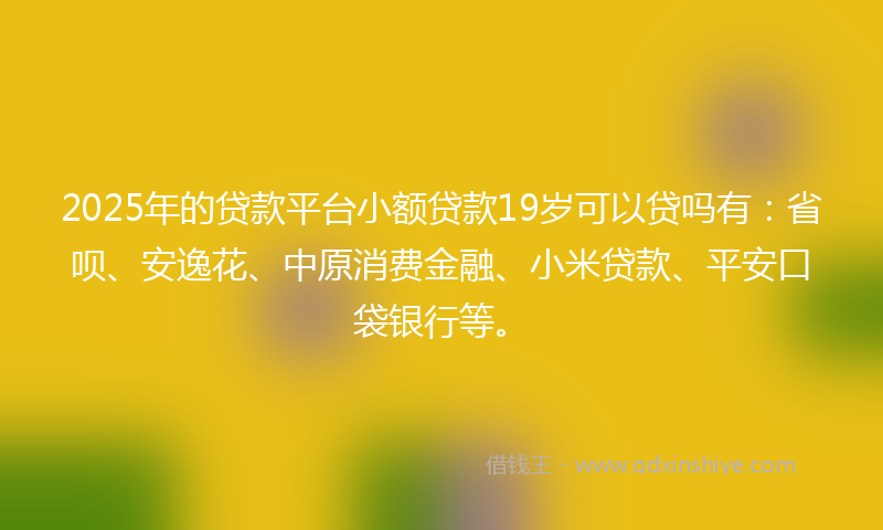 2025年的贷款平台小额贷款19岁可以贷吗有：省呗、安逸花、中原消费金融、小米贷款、平安口袋银行等。