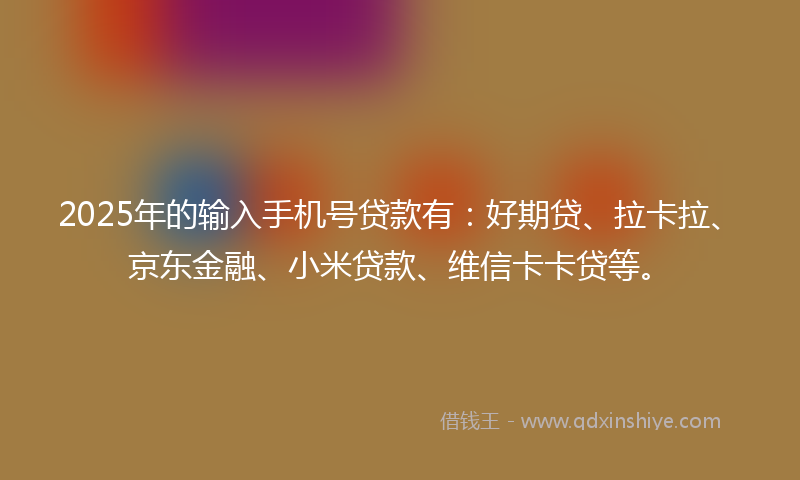 2025年的输入手机号贷款有：好期贷、拉卡拉、京东金融、小米贷款、维信卡卡贷等。