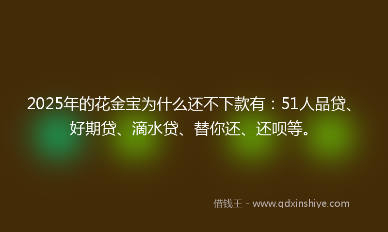 2025年的花金宝为什么还不下款有：51人品贷、好期贷、滴水贷、替你还、还呗等。