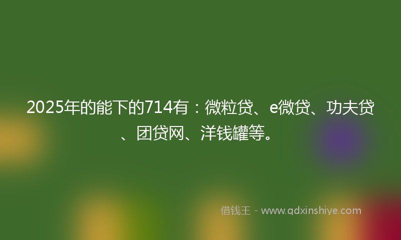 2025年的能下的714有：微粒贷、e微贷、功夫贷、团贷网、洋钱罐等。