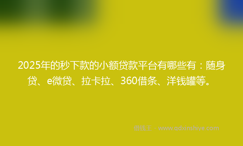 2025年的秒下款的小额贷款平台有哪些有：随身贷、e微贷、拉卡拉、360借条、洋钱罐等。