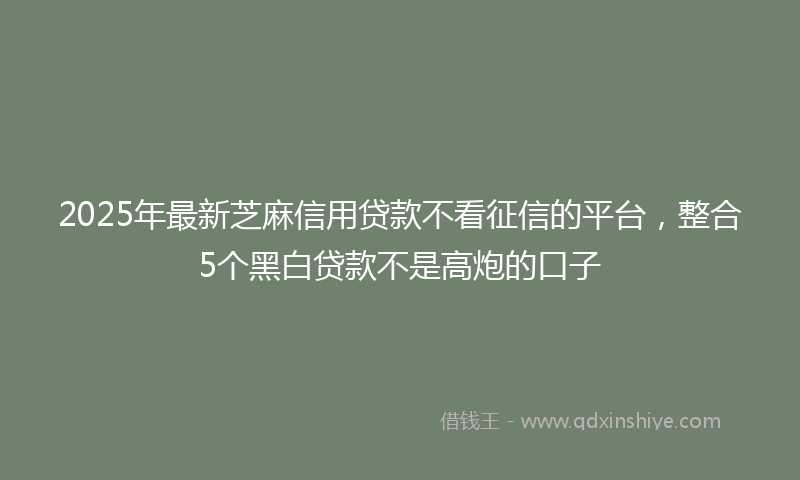 2025年最新芝麻信用贷款不看征信的平台，整合5个黑白贷款不是高炮的口子