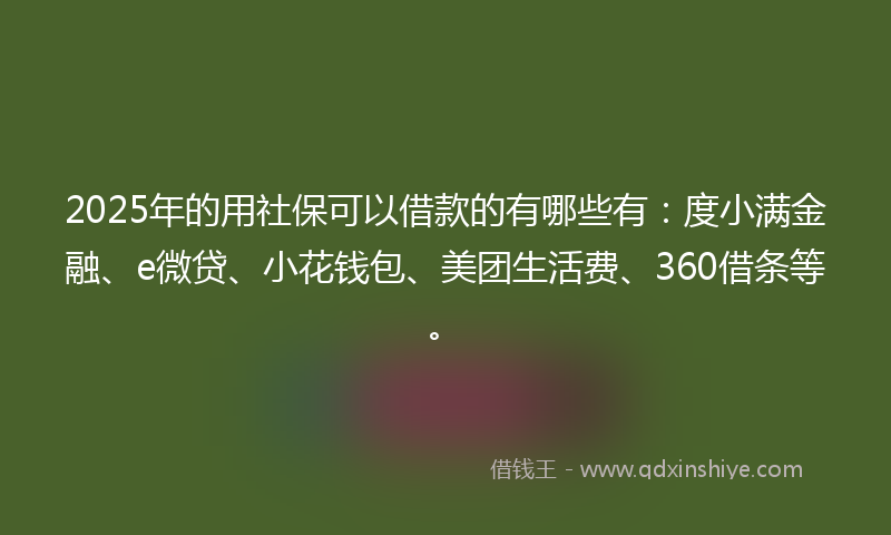 2025年的用社保可以借款的有哪些有：度小满金融、e微贷、小花钱包、美团生活费、360借条等。