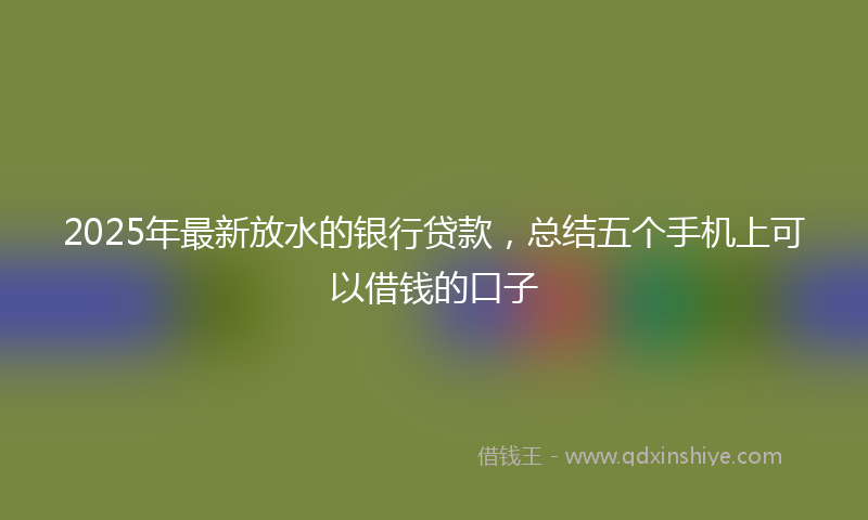 2025年最新放水的银行贷款，总结五个手机上可以借钱的口子