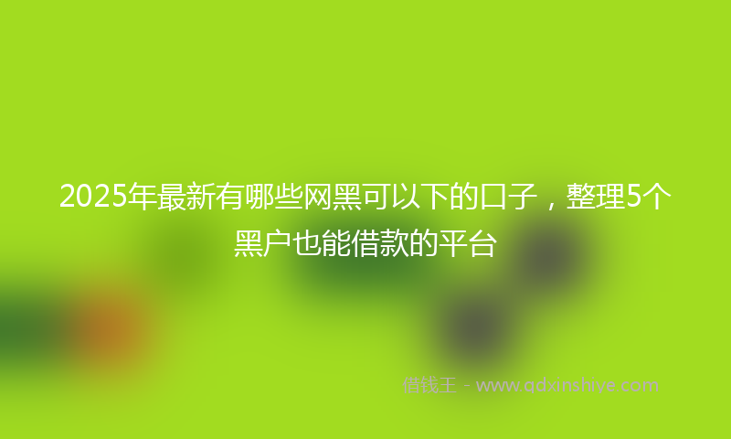2025年最新有哪些网黑可以下的口子，整理5个黑户也能借款的平台