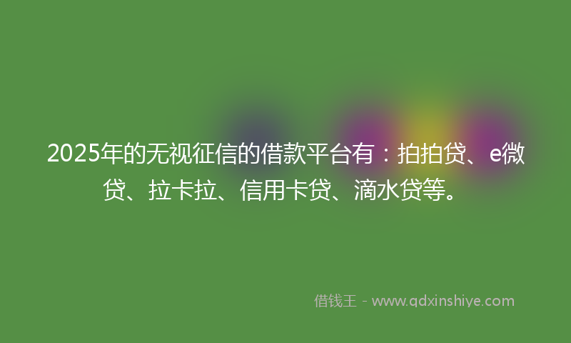 2025年的无视征信的借款平台有：拍拍贷、e微贷、拉卡拉、信用卡贷、滴水贷等。
