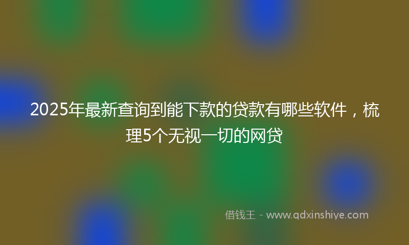 2025年最新查询到能下款的贷款有哪些软件，梳理5个无视一切的网贷