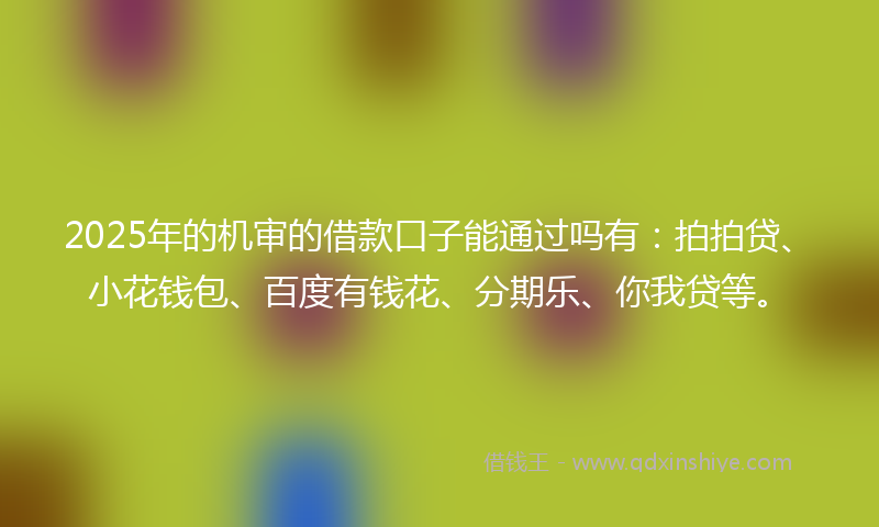 2025年的机审的借款口子能通过吗有：拍拍贷、小花钱包、百度有钱花、分期乐、你我贷等。