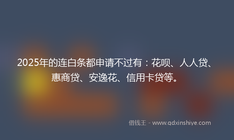 2025年的连白条都申请不过有：花呗、人人贷、惠商贷、安逸花、信用卡贷等。