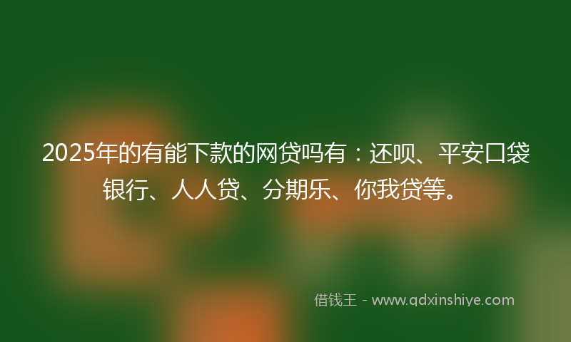 2025年的有能下款的网贷吗有：还呗、平安口袋银行、人人贷、分期乐、你我贷等。