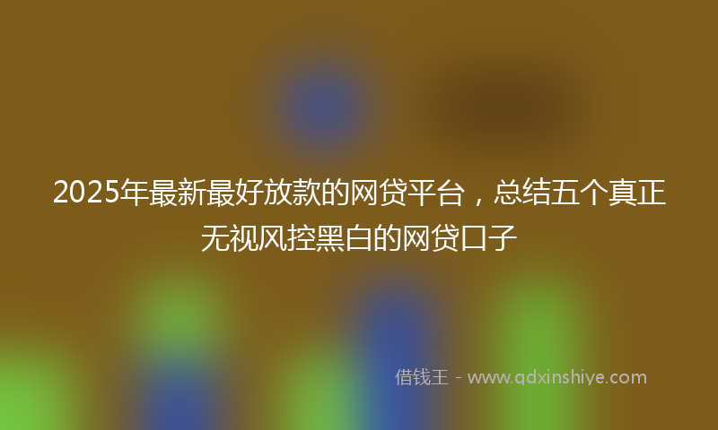 2025年最新最好放款的网贷平台，总结五个真正无视风控黑白的网贷口子